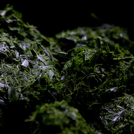 CHONTADURO 11_mosaico galeria.jpg